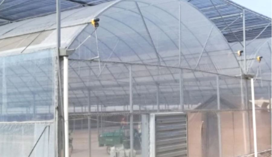 product-1-1 cheaper 6ml greenhouse plastic