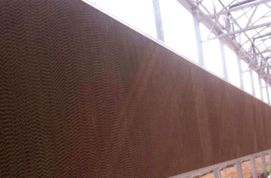 product-1-1 price 6ml greenhouse plastic