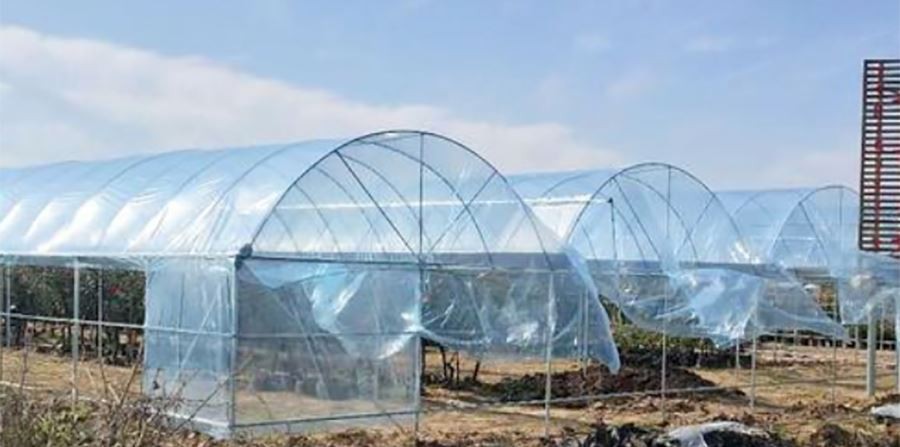 40x100 greenhouse plastic factory