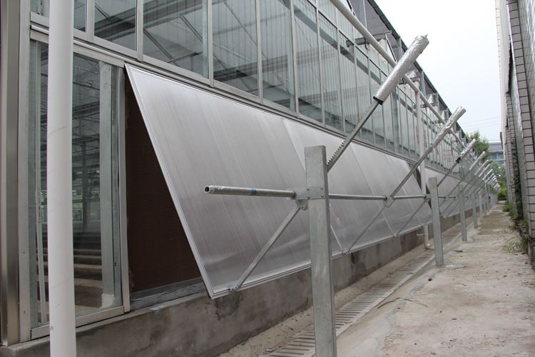 The Ventilation System For Glass PC Sheet Greenhouses