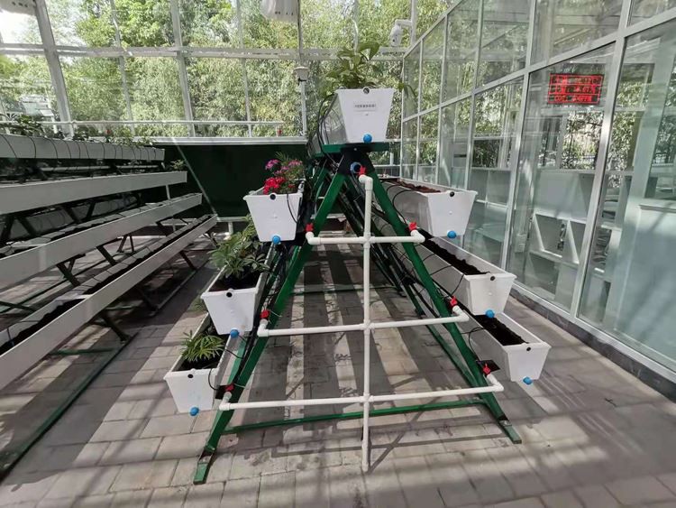 Glass Greenhouses Project Glass Greenhouses Project