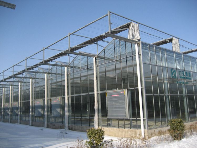 Greenhouses