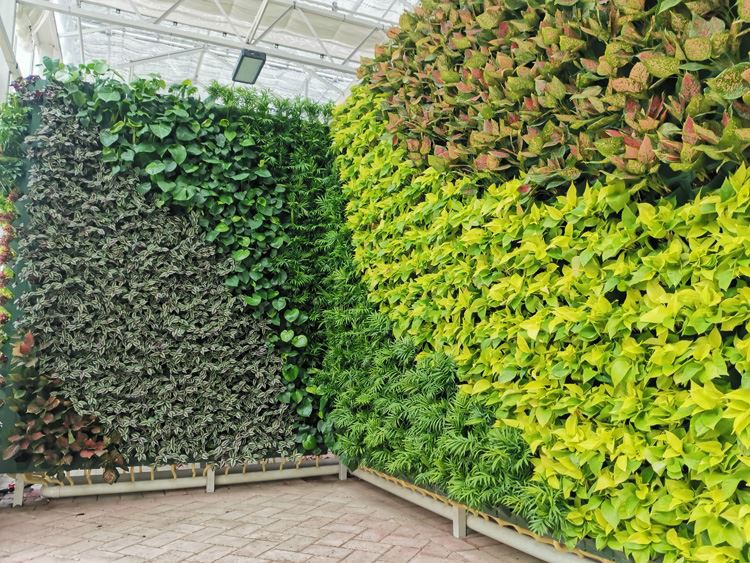 How to build a greenhouse to be more sturdy and durable How to build a greenhouse to be more sturdy and durable