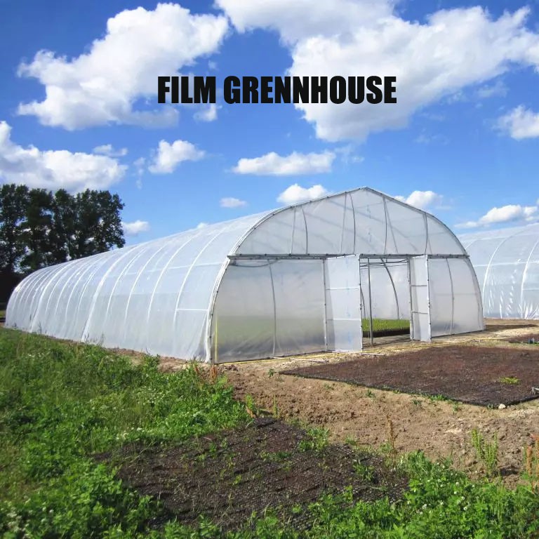 film in greenhouse film in greenhouse