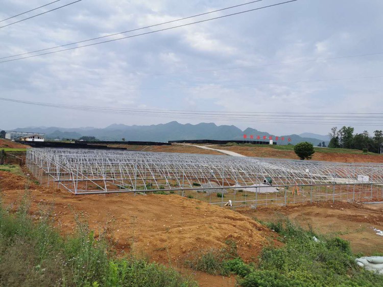 Construction advantages of multi-span greenhouses and single-span greenhouses Construction advantages of multi-span greenhouses and single-span greenhouses