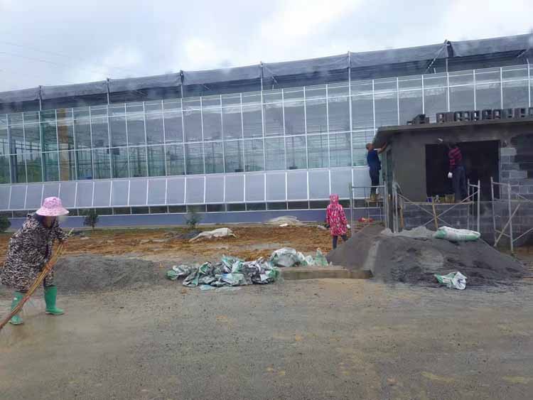 Soilless cultivation in glass greenhouse Soilless cultivation in glass greenhouse