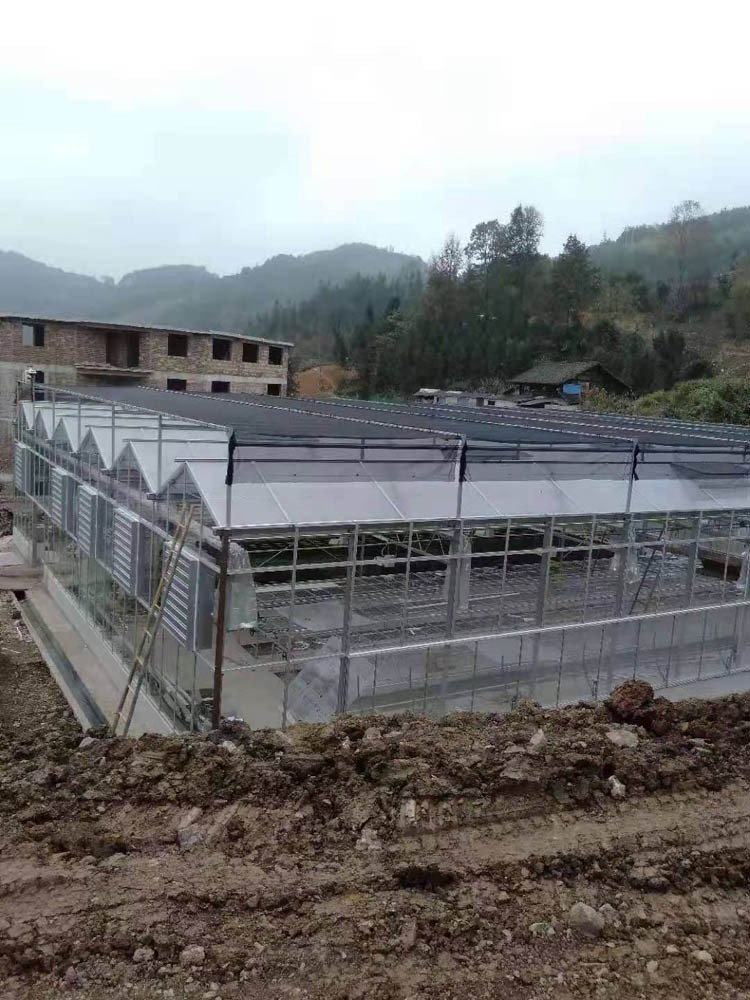 The role of the multi-span greenhouse