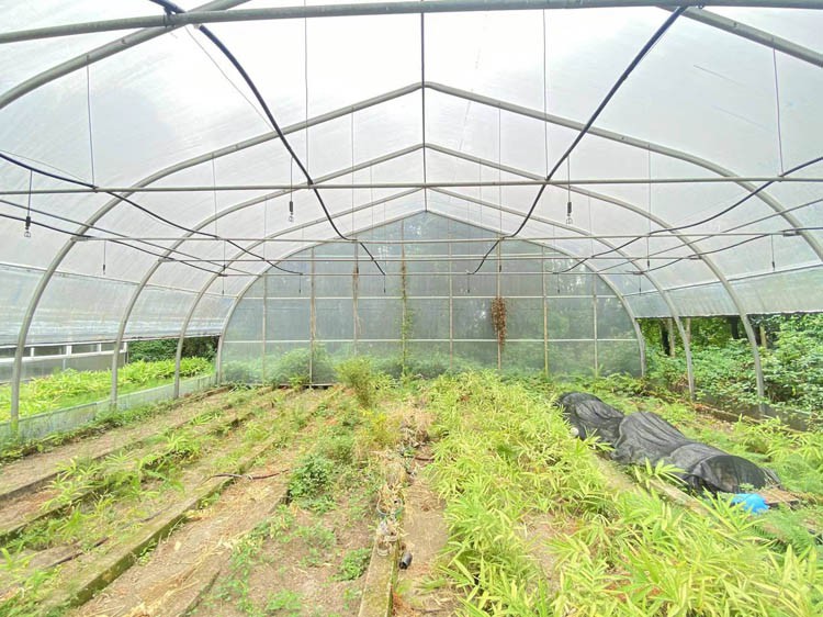 The difference between heating solar greenhouse project and energy saving solar greenhouse project The difference between heating solar greenhouse project and energy saving solar greenhouse project