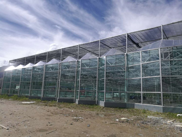 glass greenhouse glass greenhouse