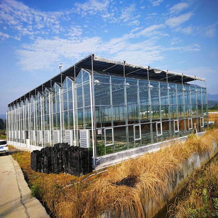 Cause Analysis of Greenhouse Collapse Cause Analysis of Greenhouse Collapse