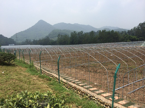 What are the advantages of galvanized pipes for greenhouses What are the advantages of galvanized pipes for greenhouses