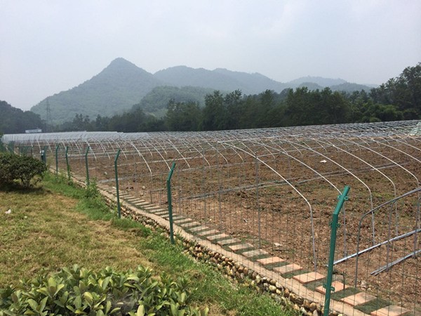 info-600-450 info-600-450