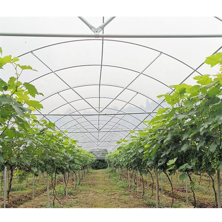 6ml greenhouse plastic supplier