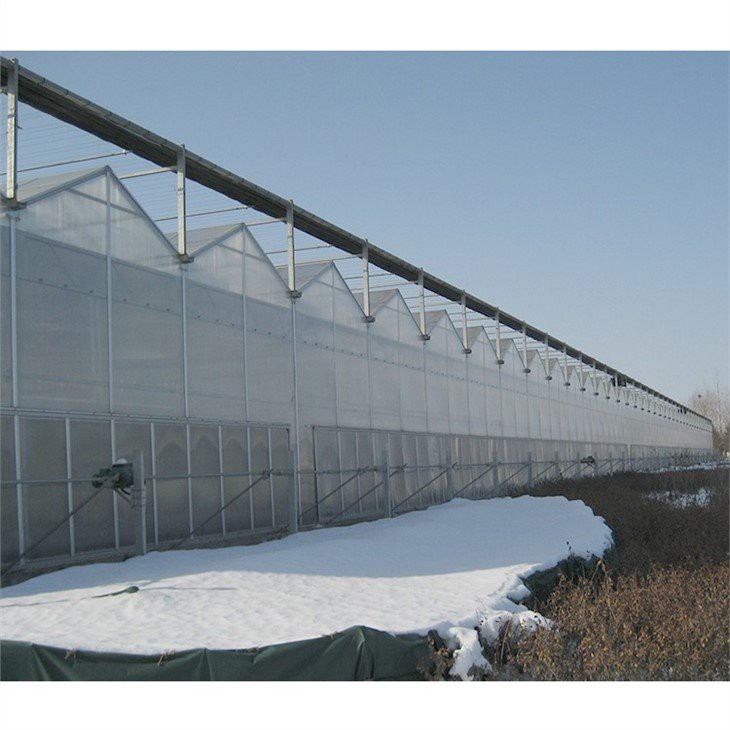 multi-span pc board greenhouse price