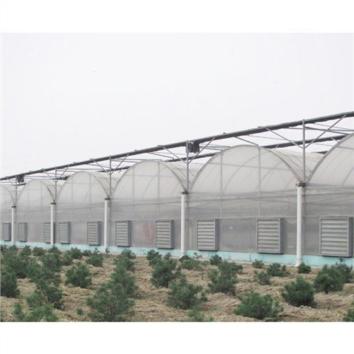 50 X 100 Plastik Serra