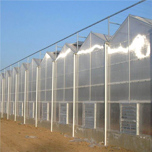 Agrikoltura Multi-span Serra