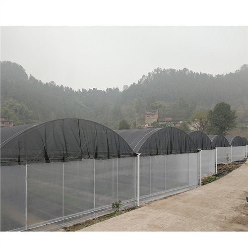 Plastik tas-serra kummerċjali