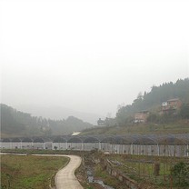 Dell Dar Serra